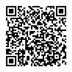 一只更加可怕的狙杀队伍也悄无声息地出现在了他们的必经之路上二维码生成
