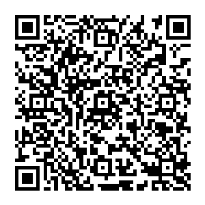 一只由狂暴劲气组成的巨型拳头狠狠的轰击在了秦方的身体之上……没有人可以轻视这一拳的力量二维码生成