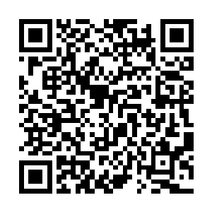 一只躲在偏僻深山的巨猿怎么会修炼人类的武技功法二维码生成