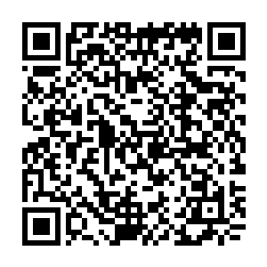 一台无边框双向可见的光点组成的大屏幕渐渐出现在会议室内所有人的眼前二维码生成