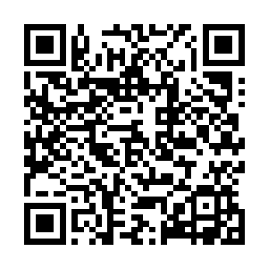 一号似乎也抵受不住三个相同英俊正气的脸摆出一副怨妇样二维码生成