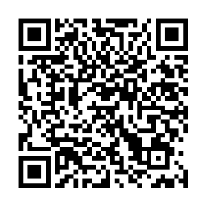 一号首长命人临时组建的派往皮克王国的另一个谈判代表团二维码生成