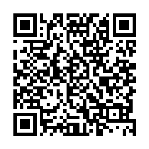 一同去医馆的还有之前受伤的锦衣卫和被无辜砍伤的平民二维码生成