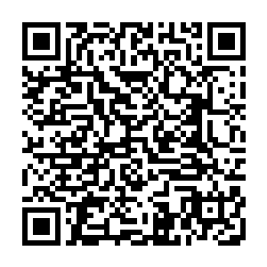 一名地仙级别的仙人完全可以十分轻松的在万军之中斩杀敌对将领的首级二维码生成