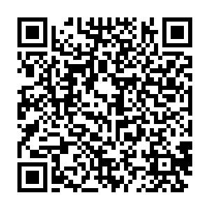 一名星罗门修者还是从当地的草木气息中提取到大致的离去时间与方向二维码生成