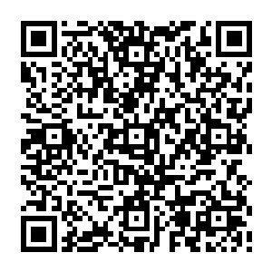 一名第一次在吉隆坡好像见过的老侍从官就立刻带路请巴克跟着他上了一辆电瓶车二维码生成