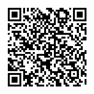 一团很微弱但是肉眼能看得见波动的灵光就从白瓷瓶没有任何抵抗的就飞了出来二维码生成