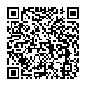 一场比赛队伍要用什么样的体系和打法都不是现在的他所能决定的二维码生成