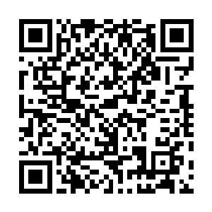 一块传承白玉通过晶板下的小型传送阵出现在楚暮的面前二维码生成