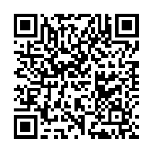 一块块肌肉仿佛都被撕裂般的稍微动弹一下就疼痛难忍二维码生成