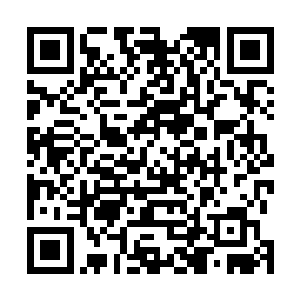 一块百万年的寒冰髓就可以让他完成任务得到一百五学分二维码生成