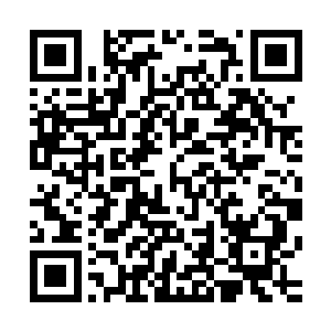 一堆排名从第一到第八百的顺位继承人为争皇位一起火拼而死二维码生成