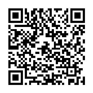 一堵不过只有第九道罗生门一半大的紫色梦幻墙壁凝实起来二维码生成