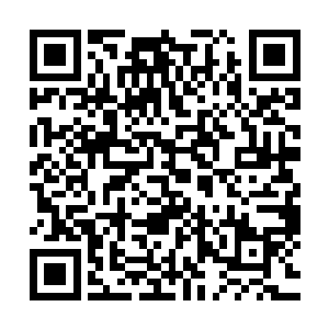一大团好像无数黑色细蛇一样蠕动的黑荆棘从人皮中钻了出来二维码生成