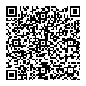 一大批与电子商务和移动通讯应用相关产业链已经在蓝岛孵化园和滨海新区的创意产业园中落地生根二维码生成