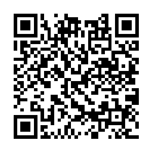 一大片一大片的灵草药园和树木森林全部都枯萎了二维码生成