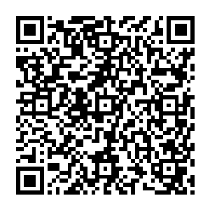 一大群拿着各种武器的杀手 疯狂的对着别墅射击 其中被射击的最多的 就是窗户了二维码生成