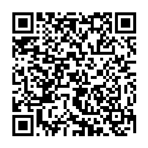 一天的时间便赶了数百万里的路程一路上也是不断的寻找着圣殿的蛛丝马迹二维码生成