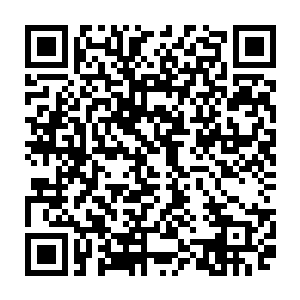 一头体型恐怖的绿色巨蛟在双凤帮上下众多弟子震撼以及惊恐的神色中一飞冲天二维码生成