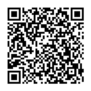 一头脖子被树藤缠绕的死死的强壮的石马就这么被龙战硬生生的从地上拖过来二维码生成