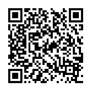 一如一开始就资本不差的代离没法让血魄认可一样二维码生成