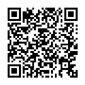 一如笑面虎一样的唐少宝在心智和手段上完全不比沈凡差二维码生成