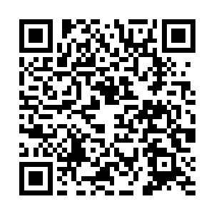 一定是林冰让龙牙在临海的外线组织收集了所有的信息二维码生成