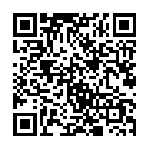 一定用比厉灵风和武英澜更残酷百倍的手段来折磨你二维码生成