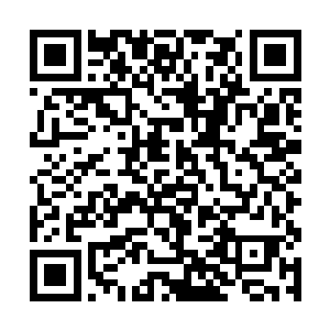 一定要技巧高明的医师将他们的血管骨肉等一一对准二维码生成