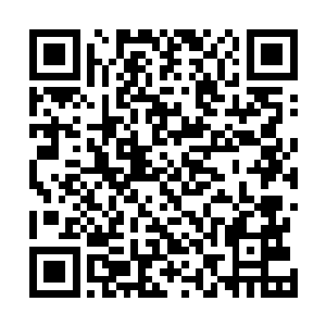 一定要进行一次彻底有效的整治……车子忽然剧烈的一震二维码生成