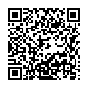 一家叫普旺德斯的外资公司准备在祝南镇投资开一家海洋馆二维码生成