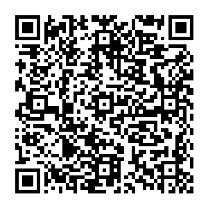 一对大眼睛好似看穿了天地 看透了众生 她微微低头 看了一眼四方的大能 只是一眼 便让他们心血起伏二维码生成