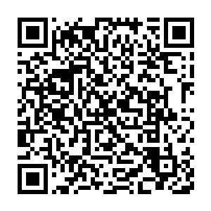 一座容纳数万年轻当地员工和数万游客的海上城市将会在浅滩上升起二维码生成