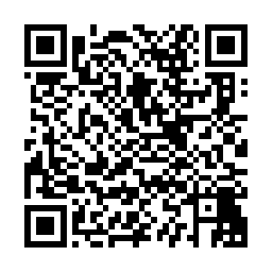 一座满是锈绿的青铜古门和一块普普通通的石碑映入了孟奇眼帘二维码生成