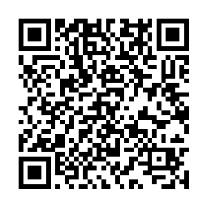 一开始仅仅采用非致命的禁锢类和昏迷类法宝攻击二维码生成