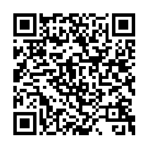 一开始他们自然携带了无数地底专用的大型法宝二维码生成