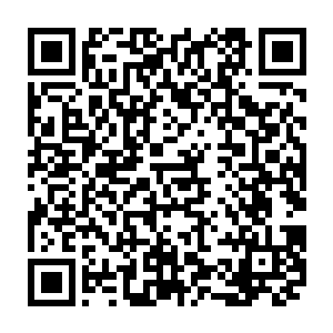 一开始在他想来君王殿就是机缘再大估计也是让普通仙王踏入绝世仙王境界二维码生成