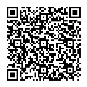 一开始在场诸多上古魔王每过十年才向林铭和圣美所在的小世界中注入一次世界之力二维码生成