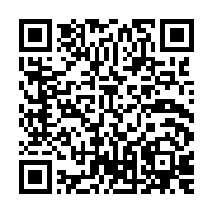 一开始最主要的就是听欧大斌他们几个表达对李谦的仰慕之情二维码生成