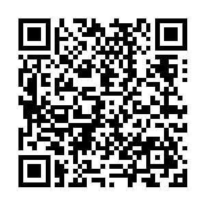 一张临时绘制的巨型地图摊开在了大殿中央的地面二维码生成