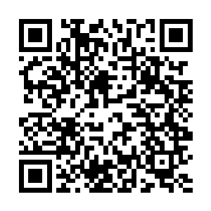 一张九品后期仙符引起的轰动不可能不惊动这里的修士二维码生成