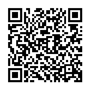 一张俊美得不似人类的黑眼光头青年男性脸庞出现在众人眼前二维码生成