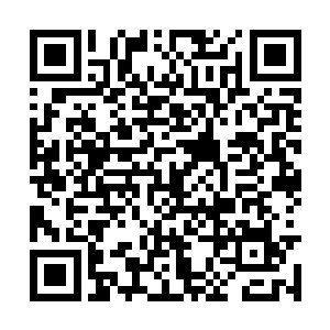 一张十块的纸币和几个一块的钢镚出现在杨洛眼前二维码生成