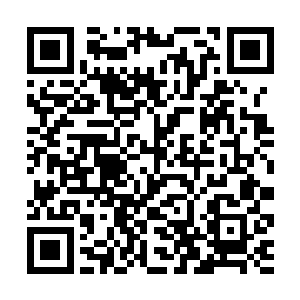 一张看起來高贵端庄的脸上写满了不可置信以及怨毒二维码生成