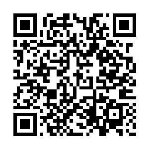 一张稚气的脸气呼呼的挡着在莫风和莫洒的前面二维码生成