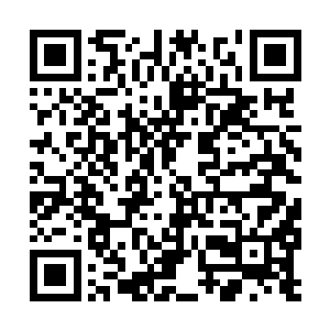 一律可以享受这次和本掌门共同用餐的资格哦……二维码生成