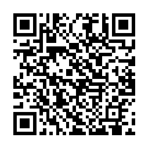 一心钻在仙术之中的代离在自己的小院里搞得天翻地覆二维码生成