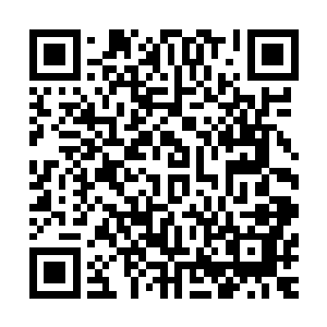 一想到拿着各种管制刀具的黑社会成员挤地铁去打群架的模样二维码生成