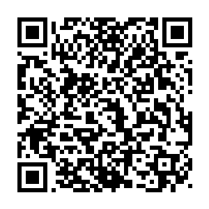 一手拿着一支纤细的毛笔时不时沾点药水在猴子的手心细细地描着二维码生成