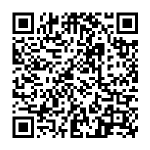 一批美国学者意识到他们从欧洲移民到北美大陆已经有很长一段时间了二维码生成